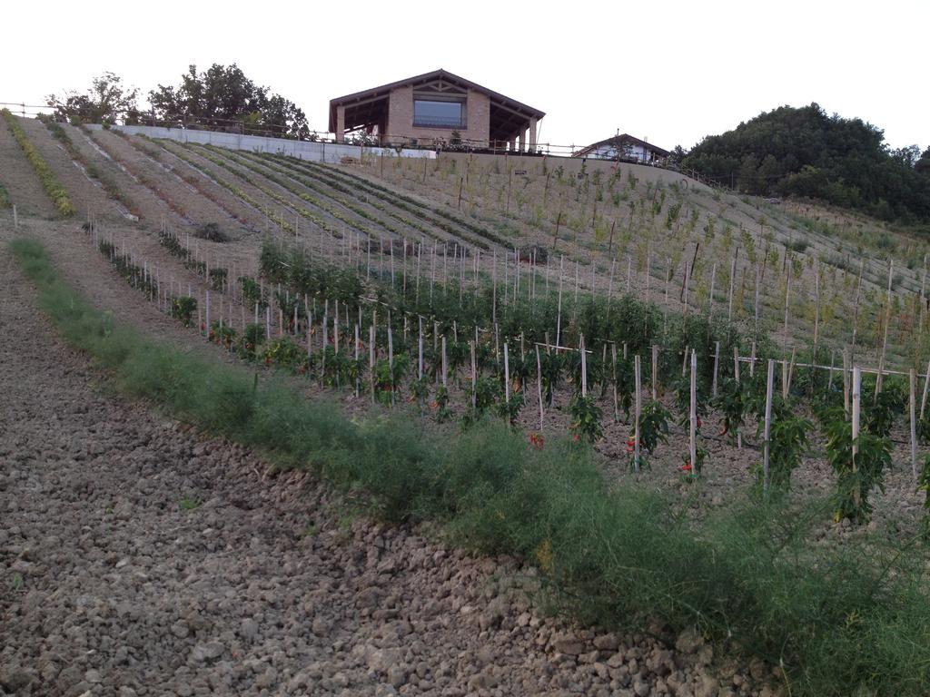 פידנצה Agriturismo Alba Del Borgo מראה חיצוני תמונה